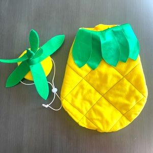 Halloween Cat Dog Costume